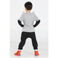 Casabony Tilki Baggy Erkek Çocuk Pantolon + T-shirt Takım  BN-017